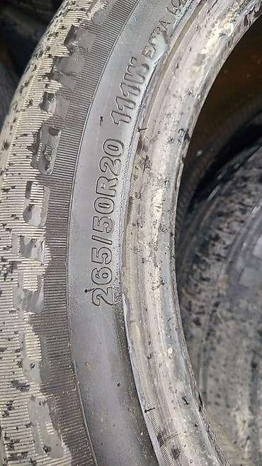 Пара лето 265.50R20