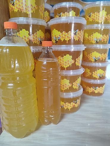Продукты питания: 1кг=500с. Иссыккульский эспарцетовый мёд. В Бишкеке, в Токмоке — 1