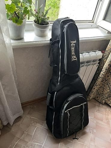 сумка для гитары: Чехол для гитары Bergen Deluxe. Есть дополнительный портфель и — 3