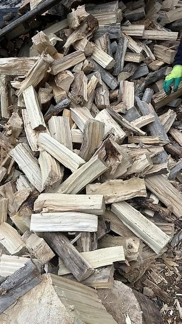 дерево береза: Дрова Тополь — 2