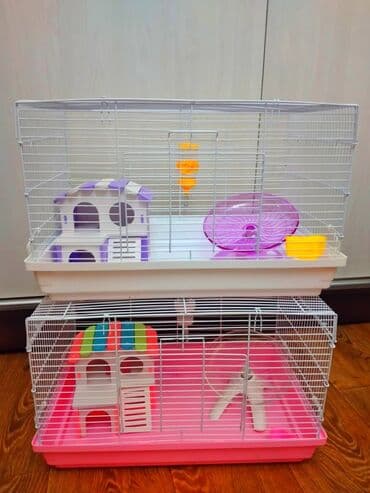 Ламинат: Продаю джунгарских и сирийских хомячков,а так же — 8