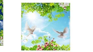 требуются монтажники натяжных потолков: Натяжной потолок 3D потолки, Глянцевое, Матовое Монтаж, Гарантия, Демонтаж — 2