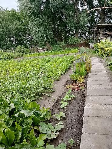 Дома: Продаётся жилой дом с приусадебным участком. 🏡 в центре Ленинского по — 7