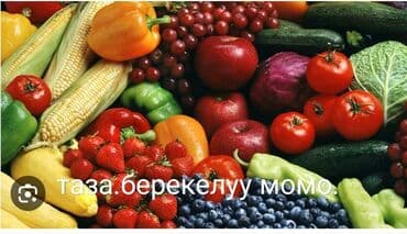 уголь каракече бешсары шабыркуль каражыра доставка бишкек купить фото: БИОГУМУС Табигый универсалдуу.Жер семирткич .тамыр аркылуу жана — 1