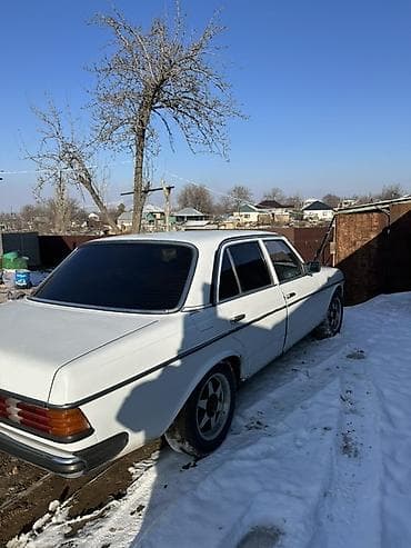 Mercedes-Benz W123: 1982 г., 2.9 л, Ручные, Дизель, Седан — 8