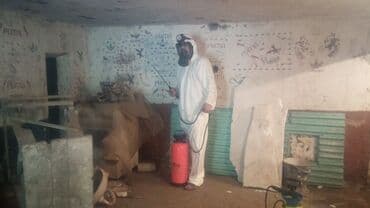 Кызматтар: Дезинфекциялоо, дезинсекциялоо, | Канталалар, Бүргөлөр, Таракандар, | Транспорт, Офистер, Батирлер — 3