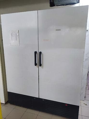 Двухдверный промышленный морозильный шкаф - Форм‑фактор: напольный