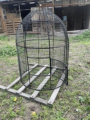 Үй жана бакча үчүн баардык: Канаттуулардан коргоочу торлор — 2