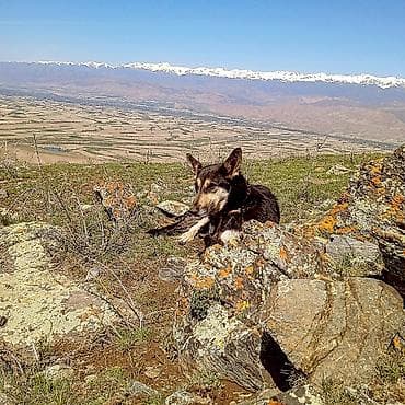 для активного отдыха: Пеший тур/прогулка по горным тропам с панорамными видами. - Маршрут — 1
