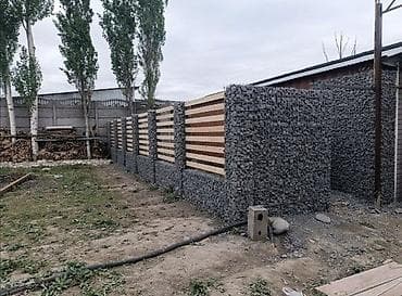 дибан: Габион тосмолор, Кепилдиги — 4