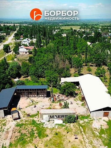 купить фермы: Кошара, 15 соток, Действующий, Частично с оборудованием, Электричество, Холодная вода — 5
