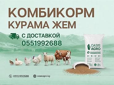 семена мака: Доставка корма Оазис Агро до Ваших ворот - Нужен хороший корм, чтобы — 1