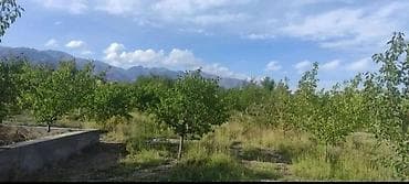 10 соток, Айыл чарба үчүн, Кызыл китеп