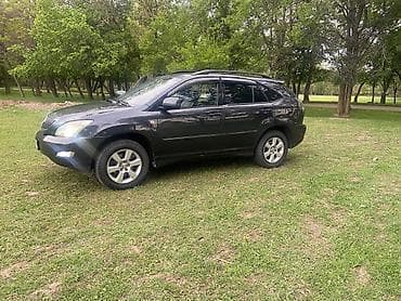 golf plus: Lexus RX: 2004 г., 3 л, Автомат, Бензин, Кроссовер — 1