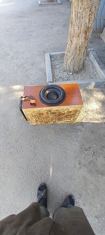 апалоны диски: Продам или обменяю на электро самакат . сабвуфер DL.AUDIO blask — 3