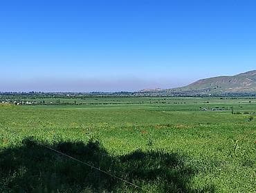 тимура фрунзе: 47 соток, Для сельского хозяйства — 1