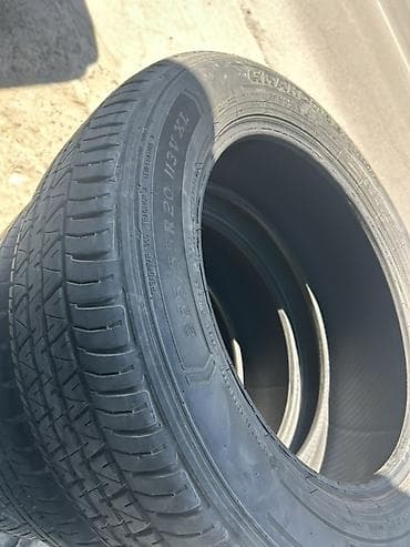 шишек: Шины 265 / 55 / R 20, Лето, Комплект, Внедорожные (АТ/МТ), DUNLOP — 3