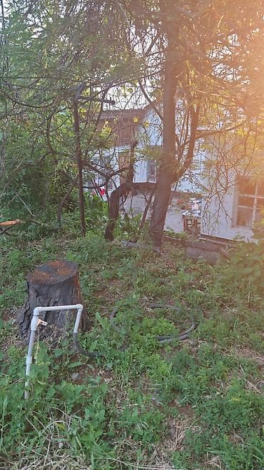 участок земли: Земельный участок с домом и зелёной зоной - Участок на склоне, с — 4