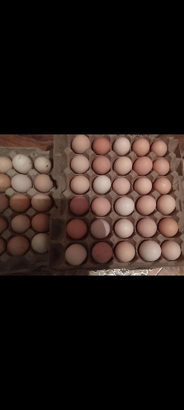 гоф 4: Шины 175 / 65 / R 14, Лето, Б/у, Комплект, Легковые, Китай, Goform — 6