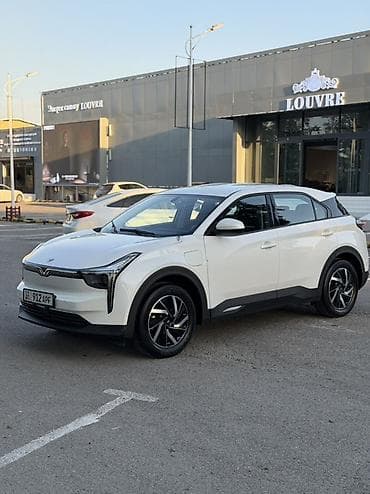 evo poliki: BYD E2: 2022 г., Автомат, Электромобиль, Кроссовер — 1