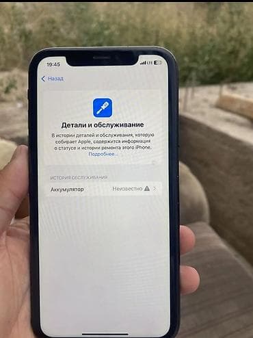 elite laguna: IPhone Xr, Б/у, 64 ГБ, Черный, Зарядное устройство, Чехол, Кабель, 100 % — 3
