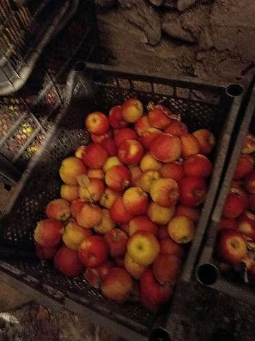 Замороженные овощи: Яблоки — 3