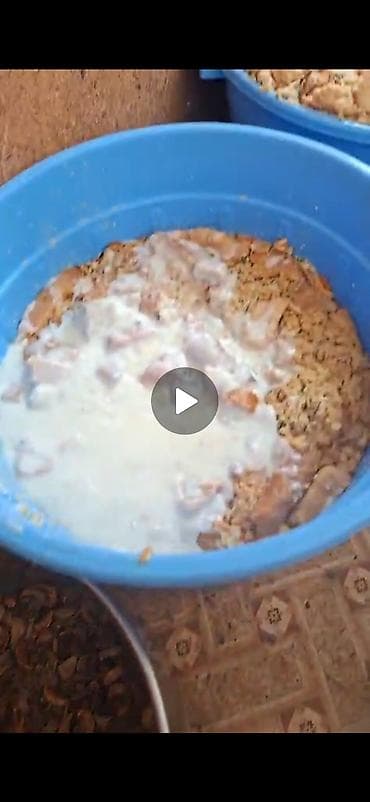 отруби рисовые: Кормовая болтушка для свиней/КРС/коз и птицы, приготовленная на месте — 3