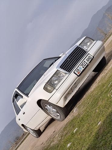 с класс 220: Mercedes-Benz W124: 1991 г., 3 л, Ручные, Дизель, Седан — 1