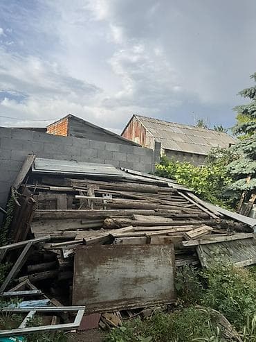 Хвоя