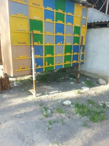 английский кокер спаниель щенок цена: Павильон для пчелы.БЕЗ ПЧЕЛЫ и БЕЗ РАМКИ.Обмен на MАШИНУ/ АВТО / — 3