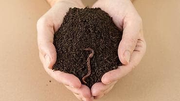 кислоты: Удобрение Гумус — 1