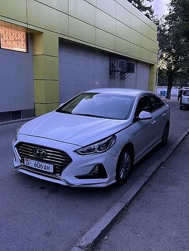 резиновый коврик: Hyundai Sonata: 2018 г., 2 л, Автомат, Газ, Седан — 10