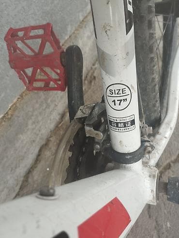 daf tandem: Горный велосипед, Рама M (156 - 178 см), Сталь — 3