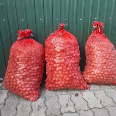 творожный сыр креметте цена бишкек: Орехи грецкие тонкокорые,отличного качества цена 100с/кв осталось — 1