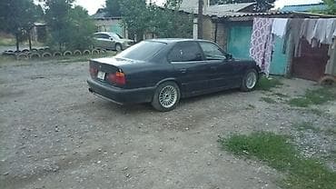 краска авто: BMW 5 series: 1995 г., Седан — 9