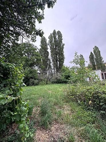 group: 12 соток, Красная книга, Тех паспорт, Договор купли-продажи — 6