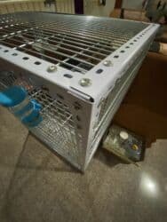 бафф купить в бишкеке: Уголок перфорированный — 10