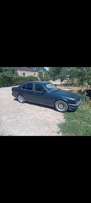 краска авто: BMW 5 series: 1995 г., Седан — 2
