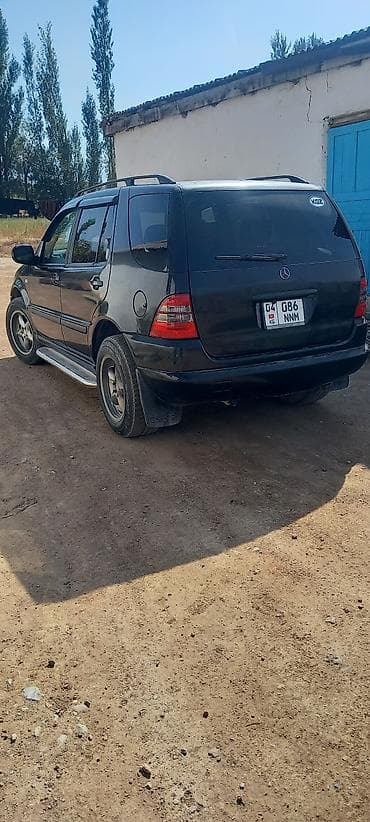 Mercedes-Benz M-Class: 2000 г., 3.2 л, Автомат, Газ, Внедорожник