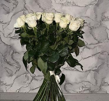 Мебель: Букет из белых роз - Роскошный плотный букет с крупными бутонами — 2