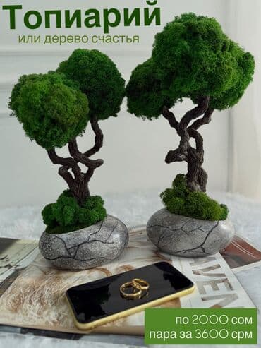 бонсай: Миниатюрная Интерьерная Композиция Декор для дома и офиса «Бонсай» из — 1