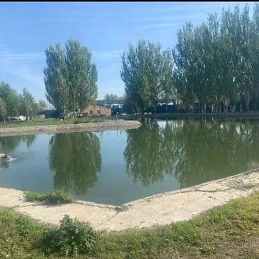 дом в кок жаре: Продается действующий Рыбхоз, г.Кант, район Цемзавода, участок — 3