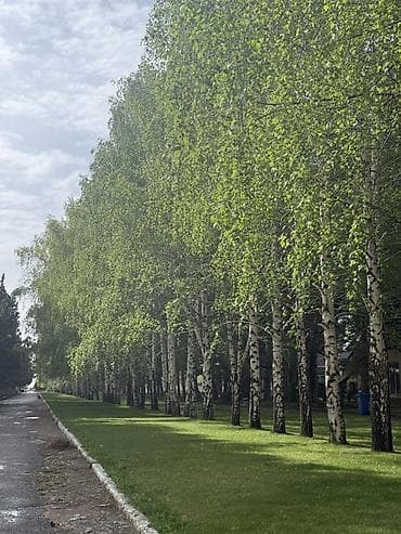 аренда казань: Продается квартира в ЦО фонтан( seven sunny days) Квартира 36 кв — 10