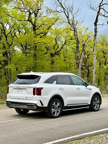 sorento 2024: Kia Sorento: 2023 г., 1.6 л, Вариатор, Гибрид, Кроссовер — 6
