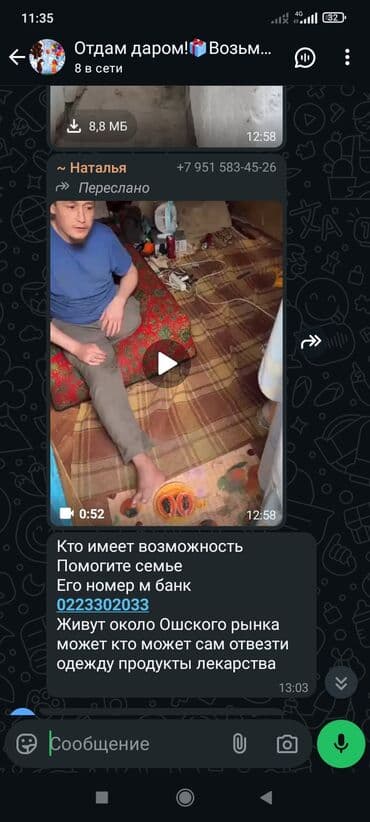 лабрадор собака: Собака даром: 2 месяца, Самка — 9
