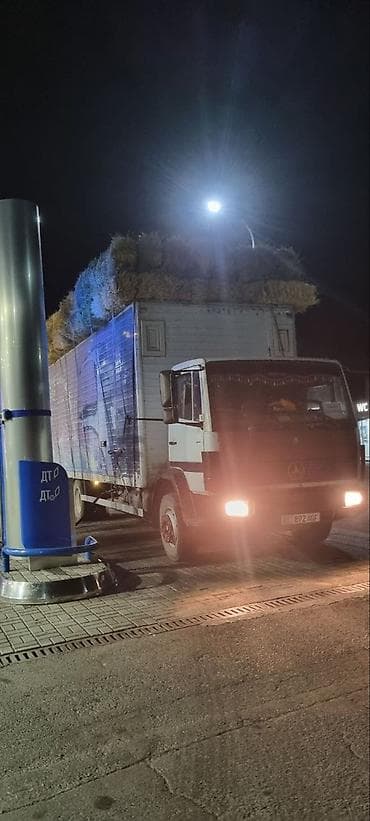 mers banan: Mercedes-Benz : 1996 г., Дизель — 5