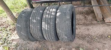 daf 480: Шины 205 / 55 / R 16, Лето, Б/у, Комплект, Легковые — 2