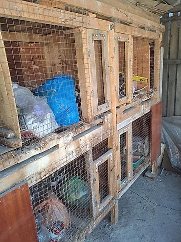 Продаеться кролятник 2х ярусный,цена договорня