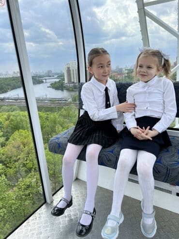 охотничий сабака дратхар: Шпиц, 11 месяцев, Самка, С прививкой — 6