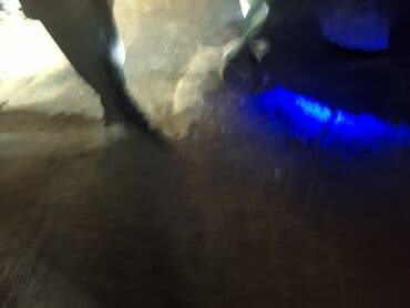 скутер suzuki: Скутер/максискутер городского типа Супер про макс - Кузов: обтекаемый — 7